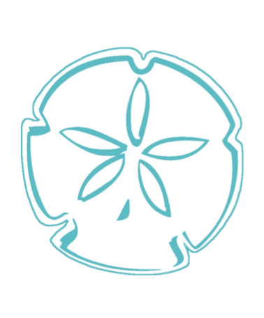 Sand Dollar Icon