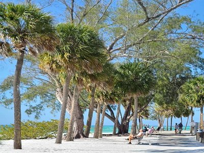 Things To Do FFFA41AD-F482-45E0-A2BA6FD7CDA878A6157957770_3928608767182454_2720398952052577590_o.jpg